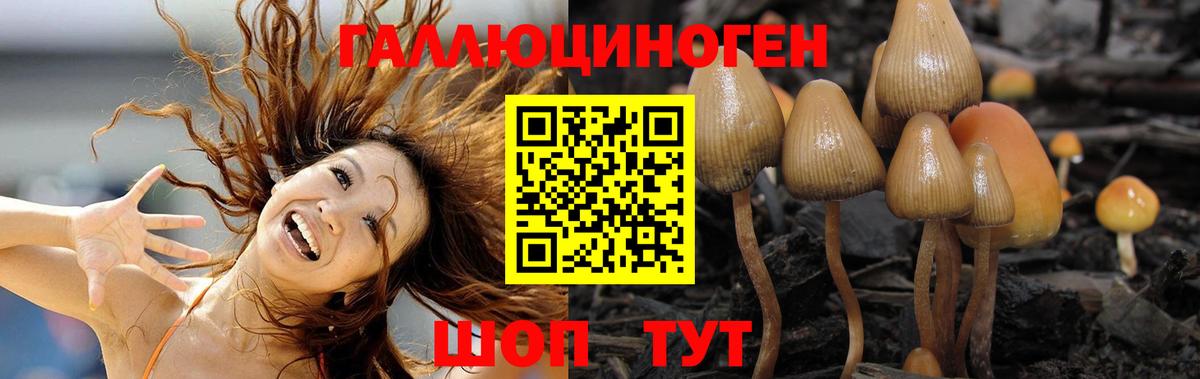 Псилоцибиновые грибы GOLDEN TEACHER  Вход с VPN  где найти наркотики  Норильск  Псилоцибиновые грибы мухоморы 